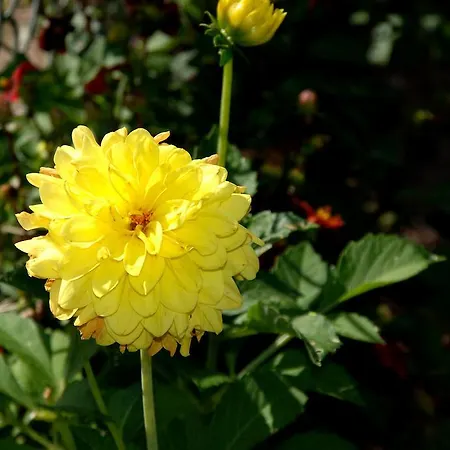 Cradog Farmhouse 3* Urlingford